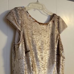 Adrianna Papell sequined cocktail dress. Perfect for the holidays.